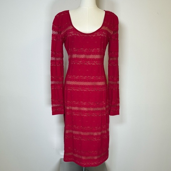 BCBGMaxAzria Dresses & Skirts - BCBGMaxAzria ‘Tanya’ Stripe Lace Dress In Sangria Women’s Size Medium Tall